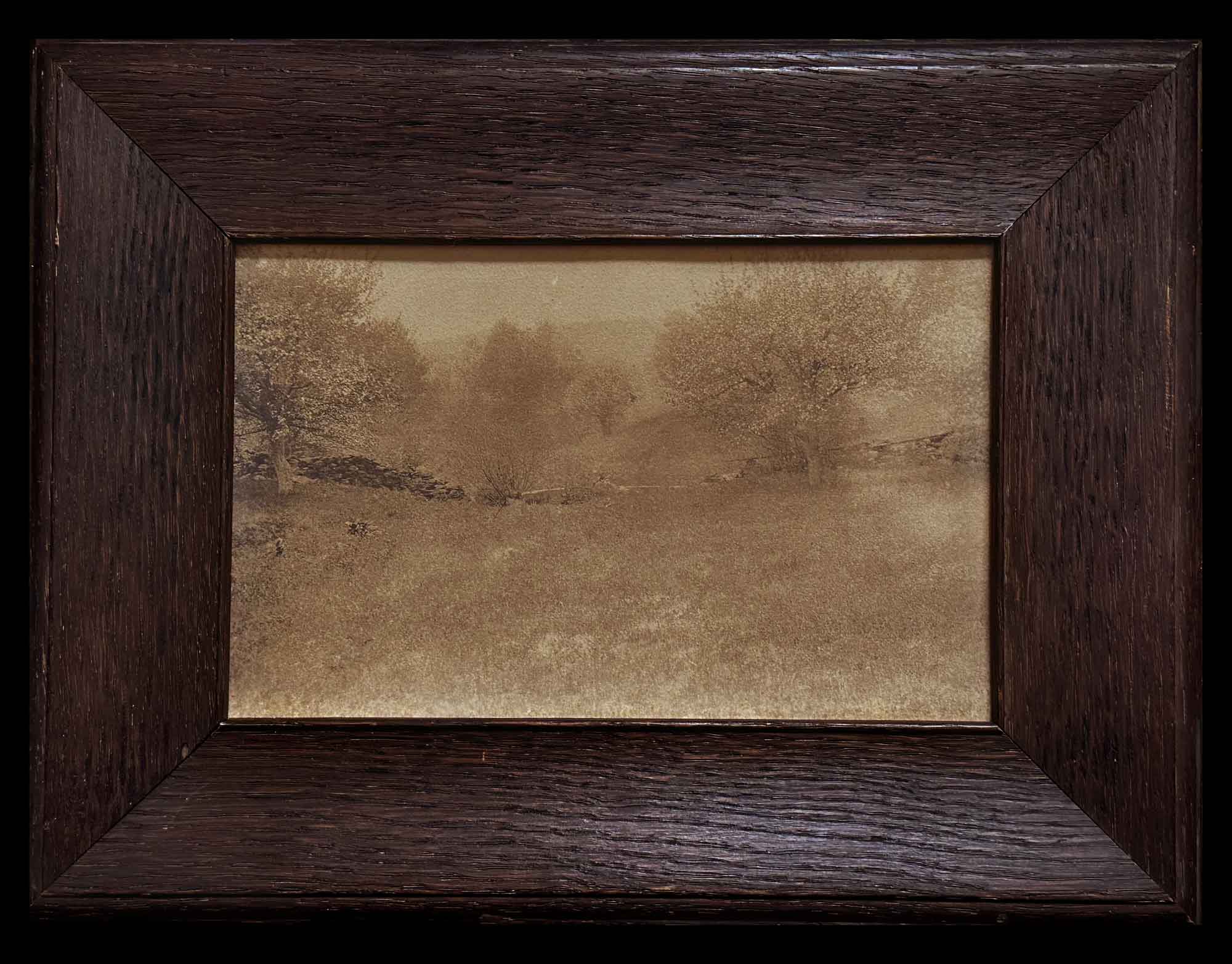 Meadow with Stone Wall in Springtime