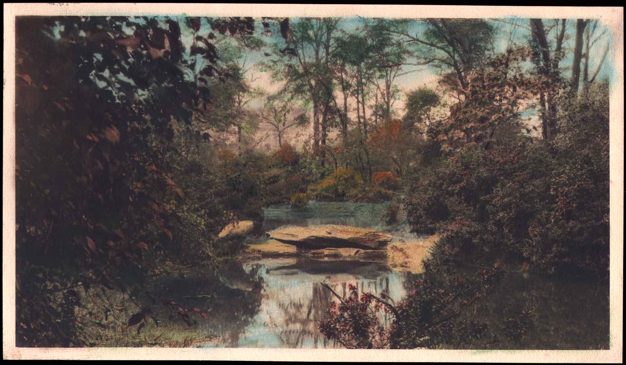 Brook in late Spring or Early Summer