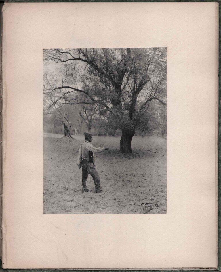 But Other Fell into Good Ground…