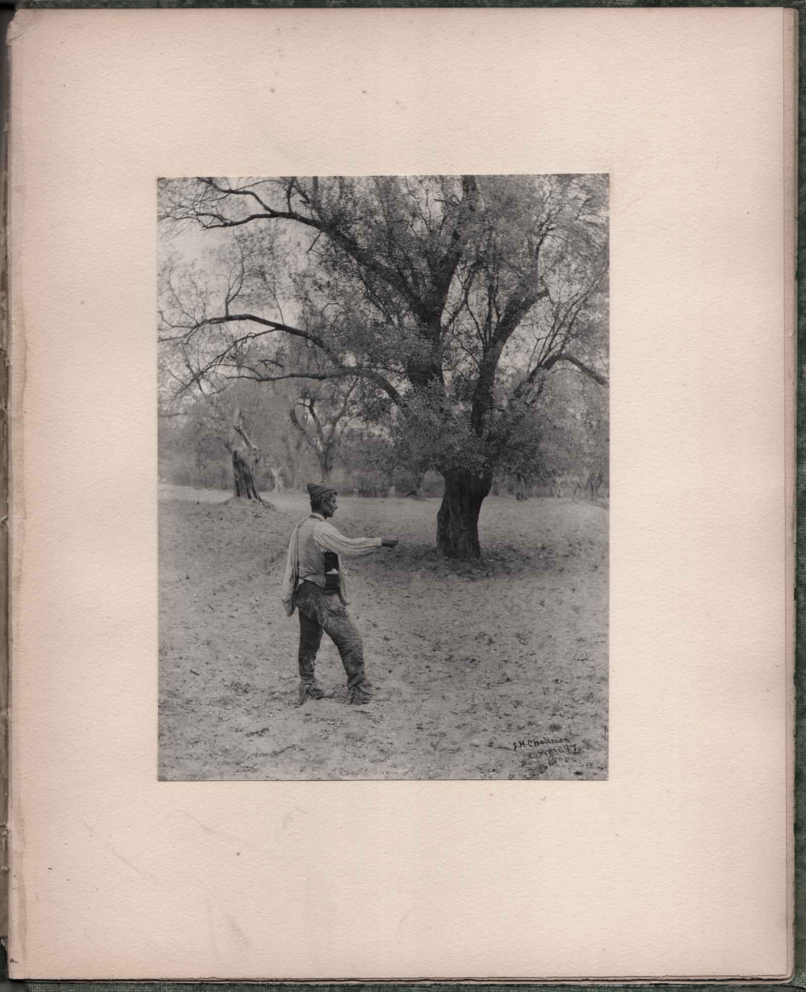 But Other Fell into Good Ground…