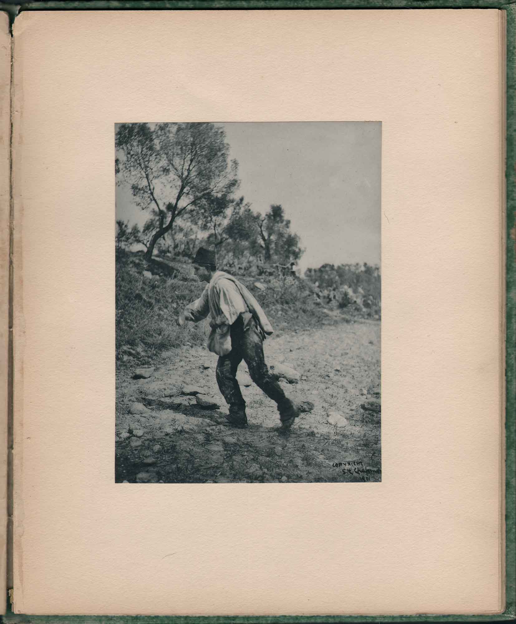 Some Fell Upon Stony Places…