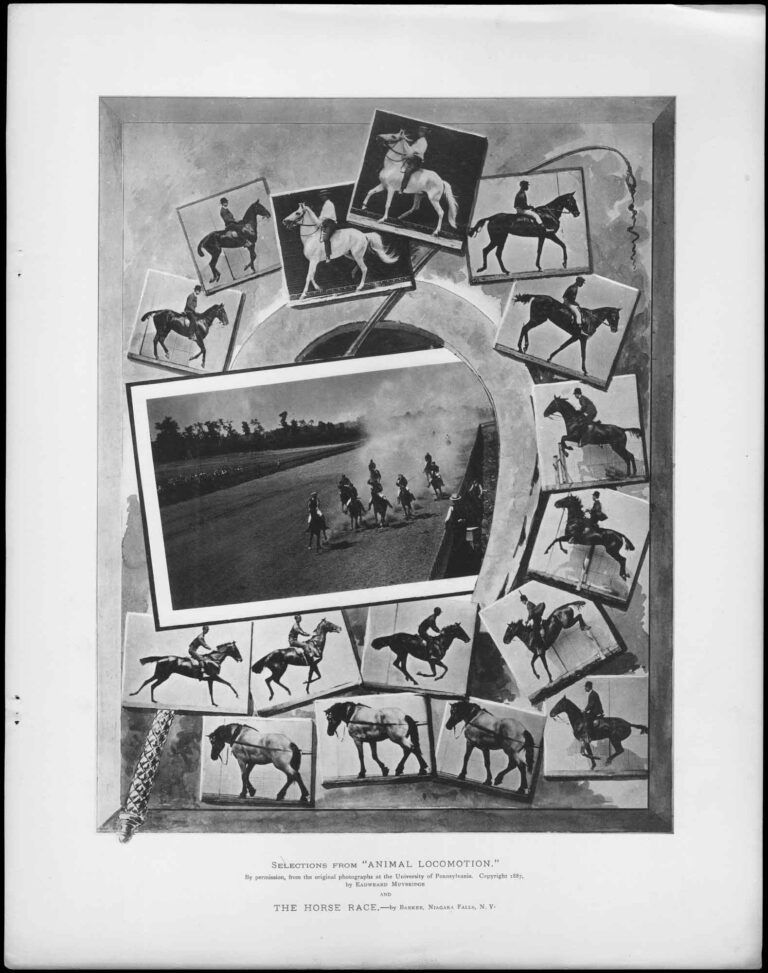 Selections from “Animal Locomotion” | The Horse Race