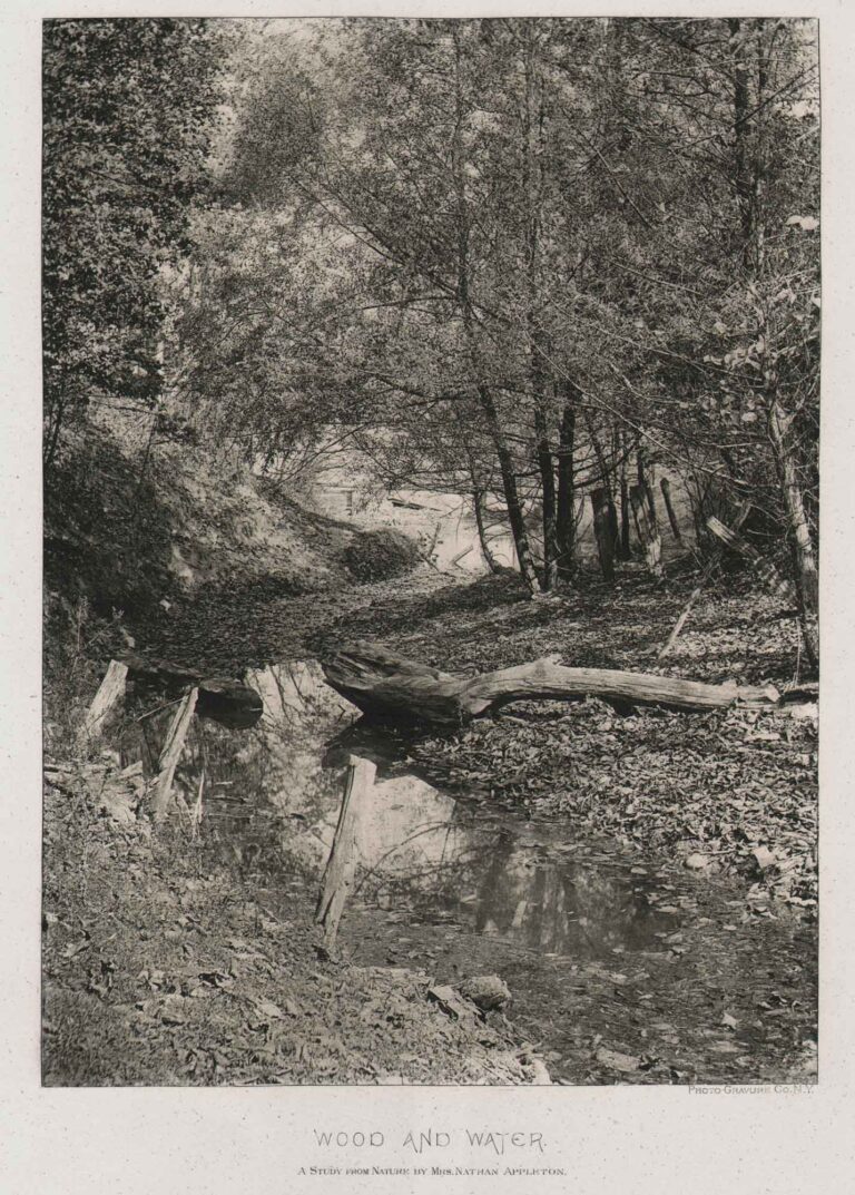 Wood and Water