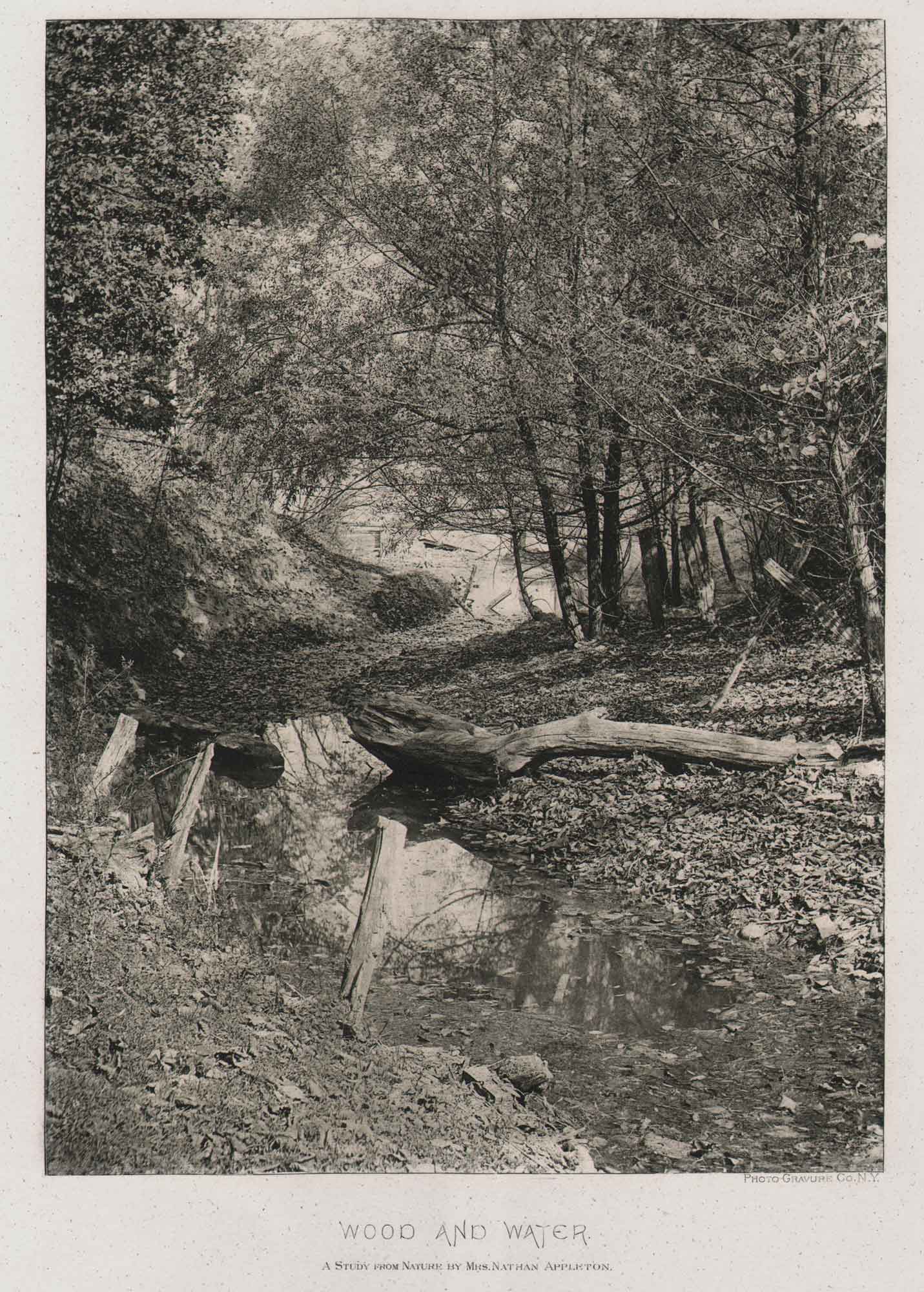 Wood and Water
