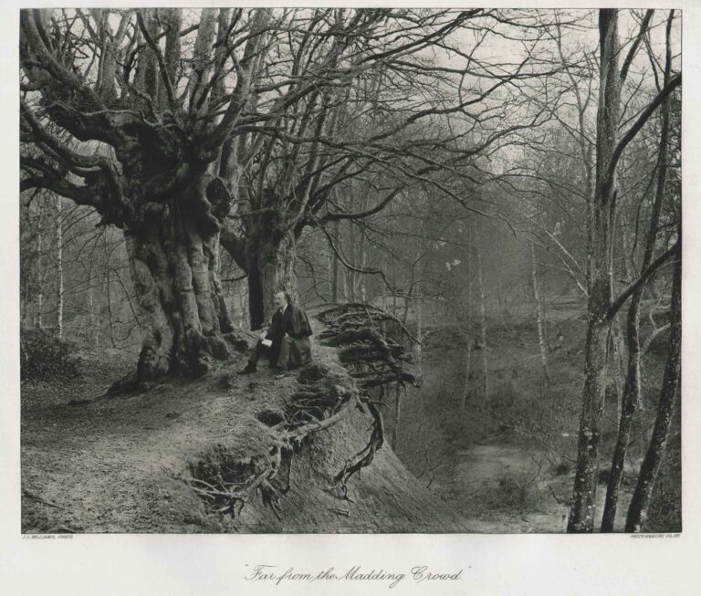 Far From the Madding Crowd