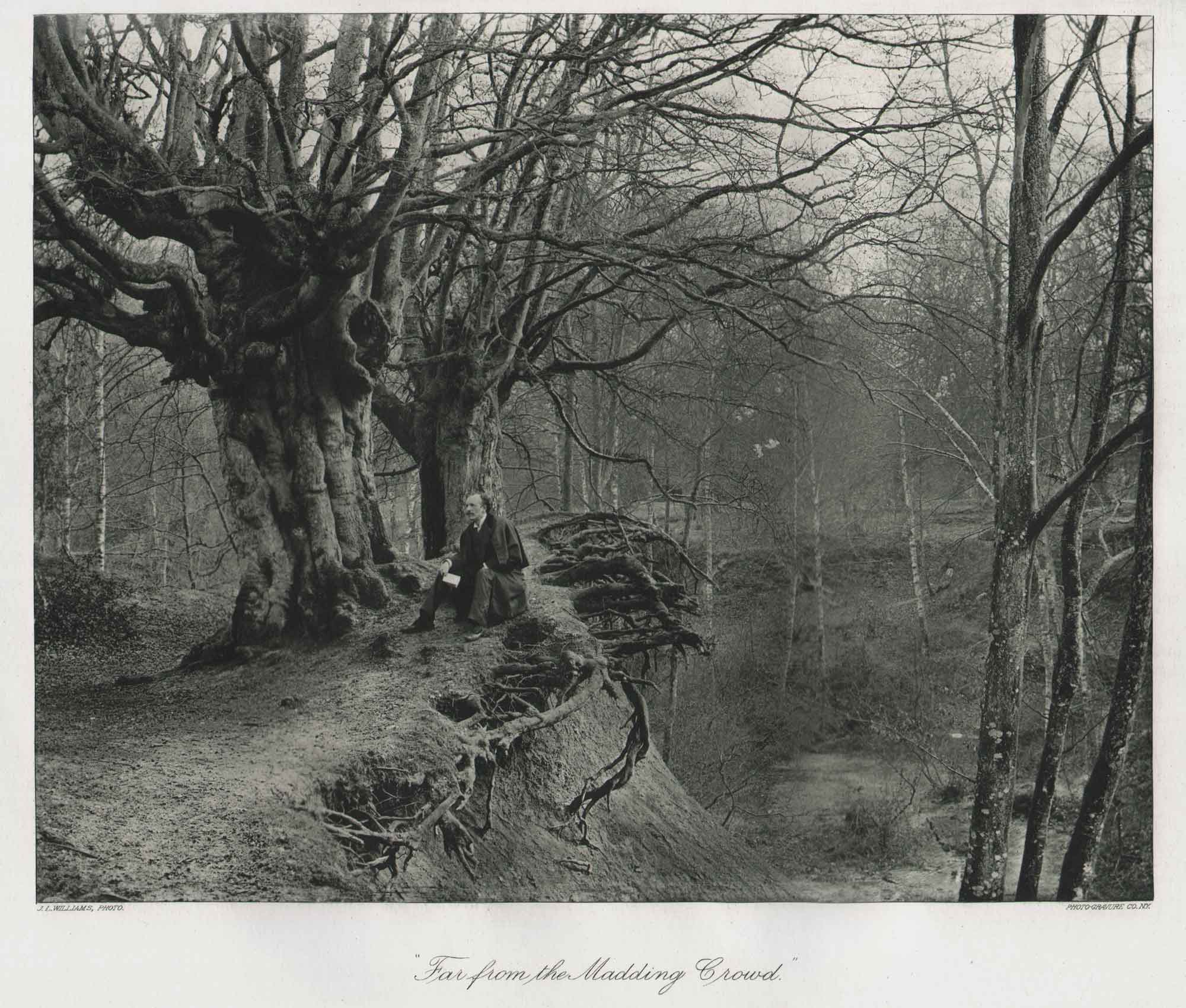 Far From the Madding Crowd