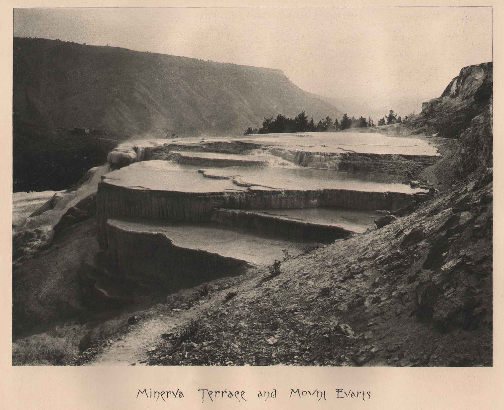 Minerva Terrace and Mount Evarts | Yellowstone National Park