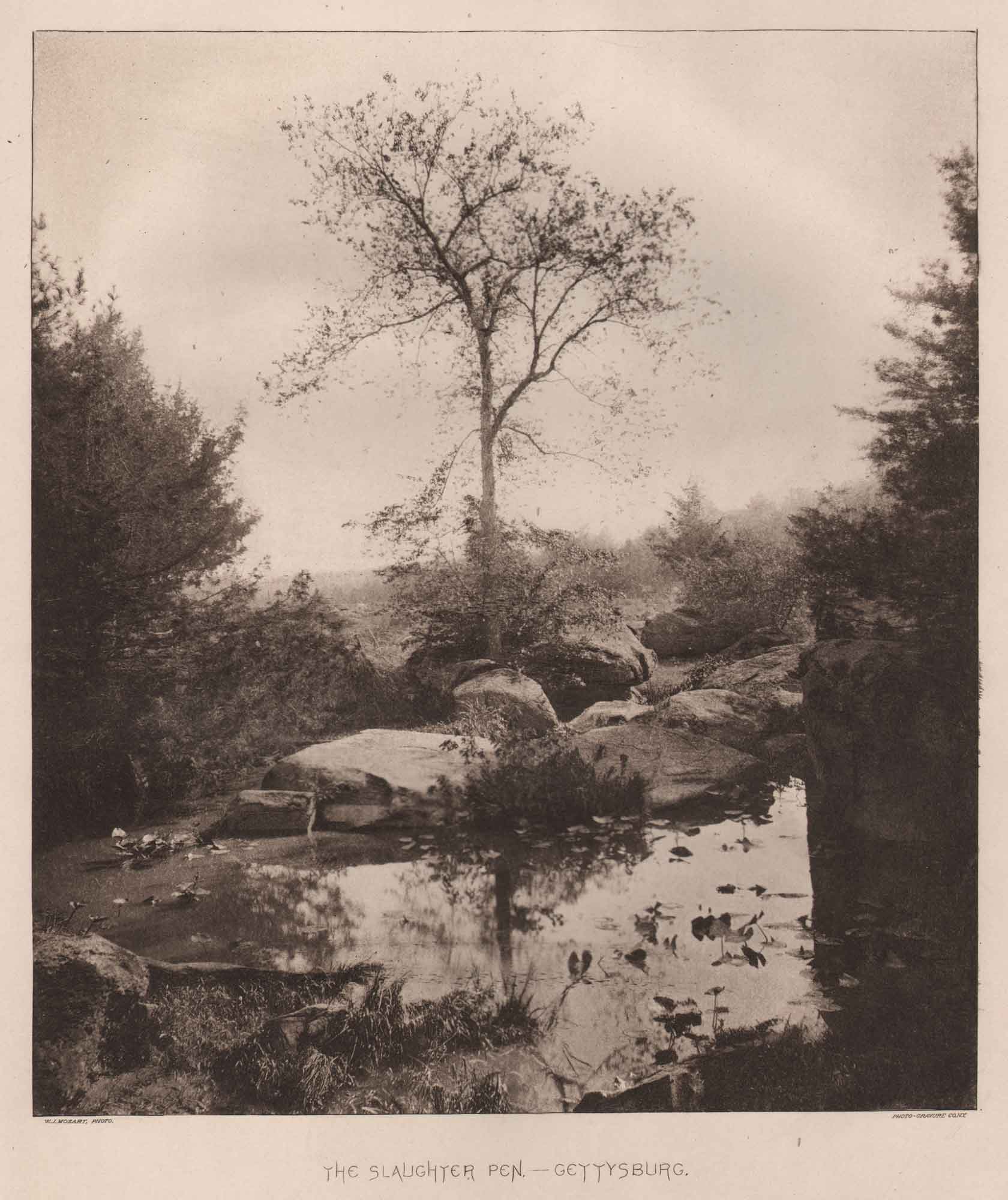 The Slaughter Pen— Gettysburg