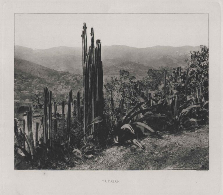 Yucatan | A Glimpse of Guanajuato, Mexico