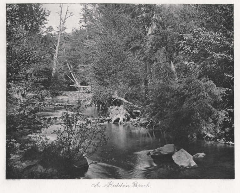 A Hidden Brook
