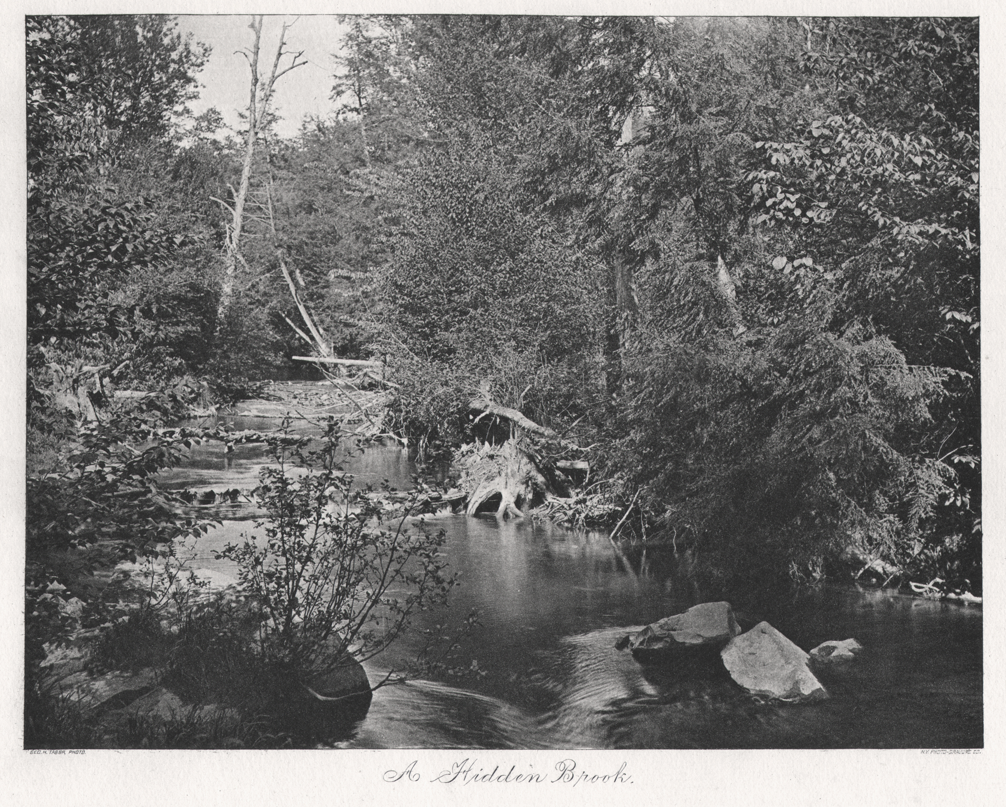 A Hidden Brook