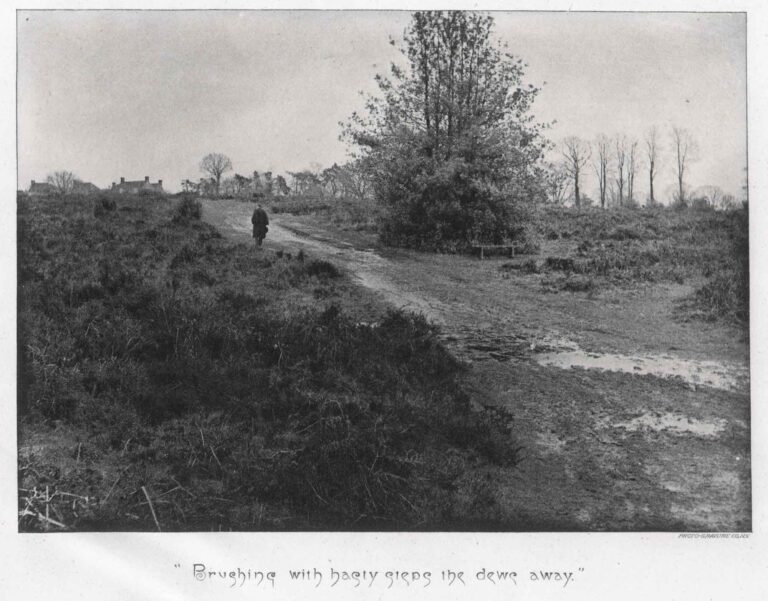Brushing with Hasty Steps the Dews Away