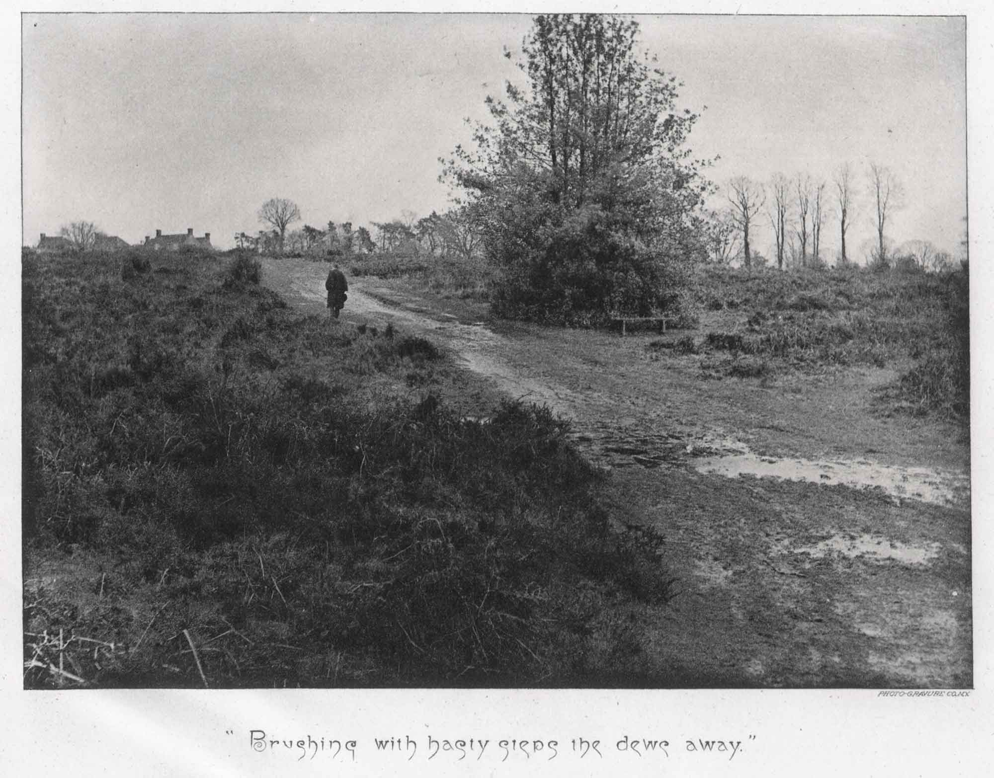 Brushing with Hasty Steps the Dews Away