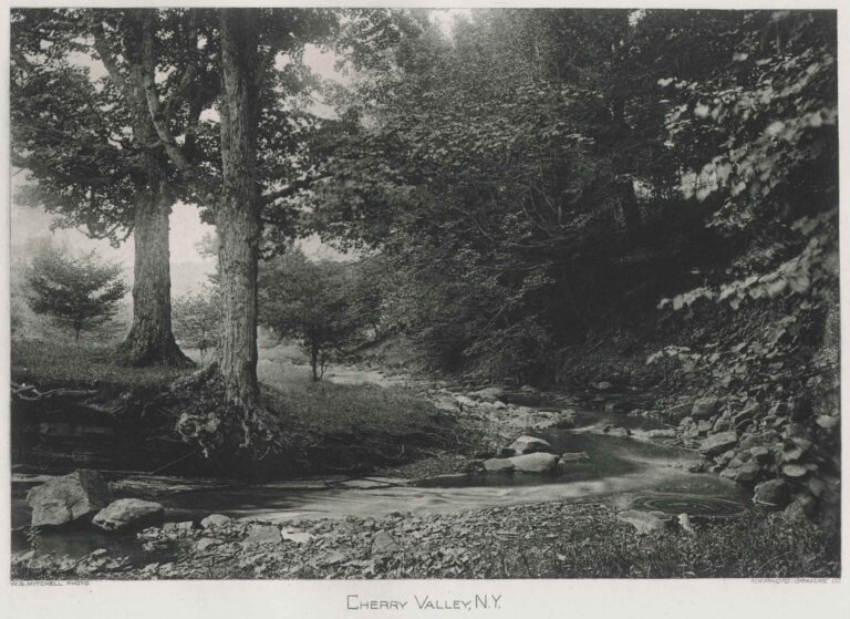 Cherry Valley, N.Y.