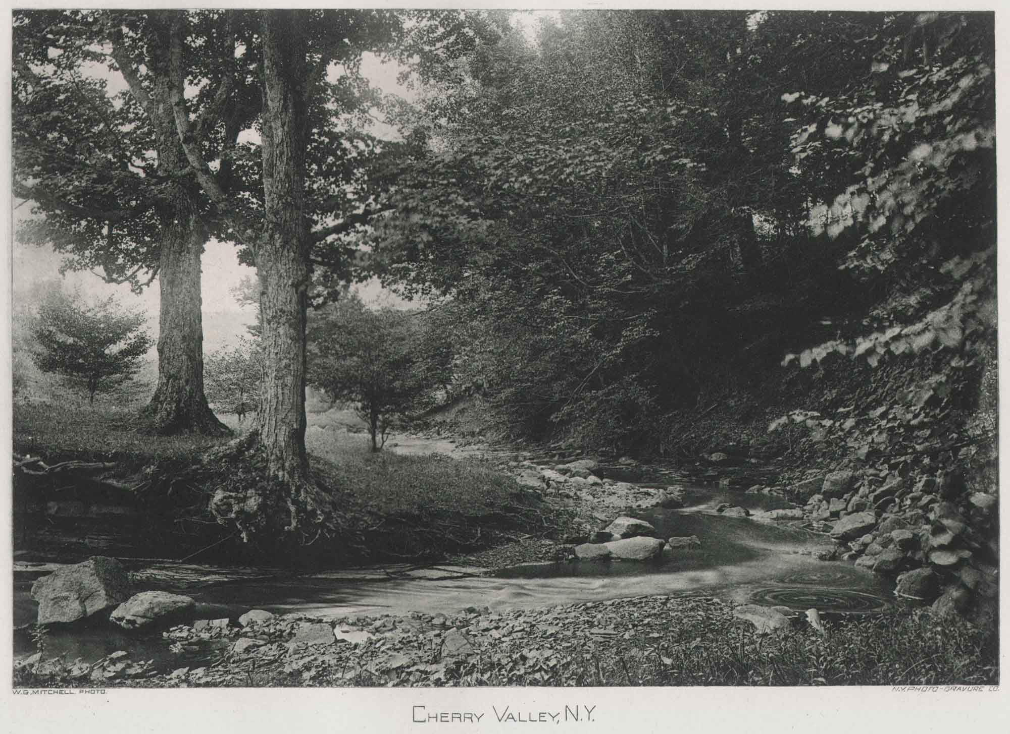 Cherry Valley, N.Y.