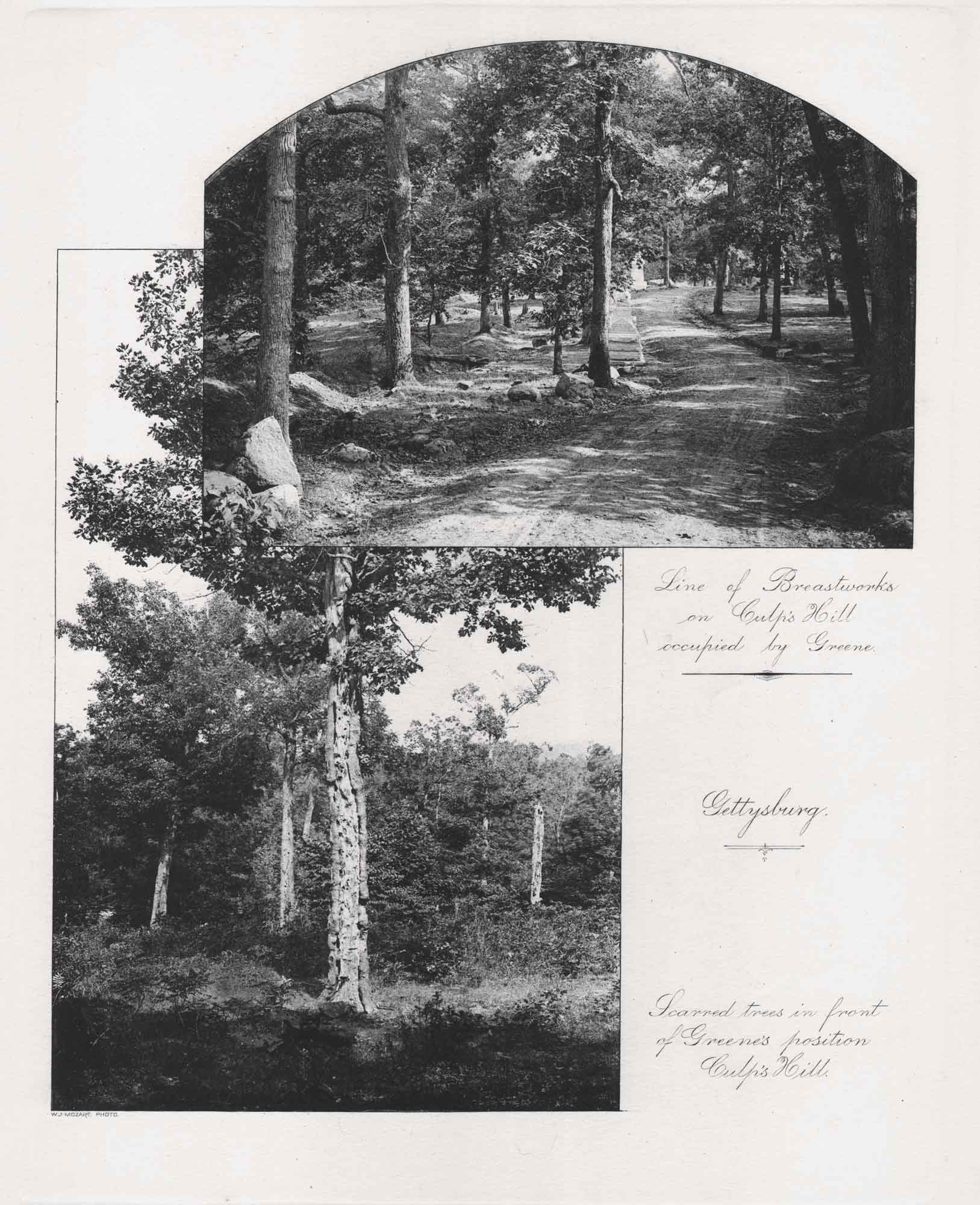 Line of Breastworks on Culp’s Hill | Scarred Trees in front of Greene’s Position, Gettysburg