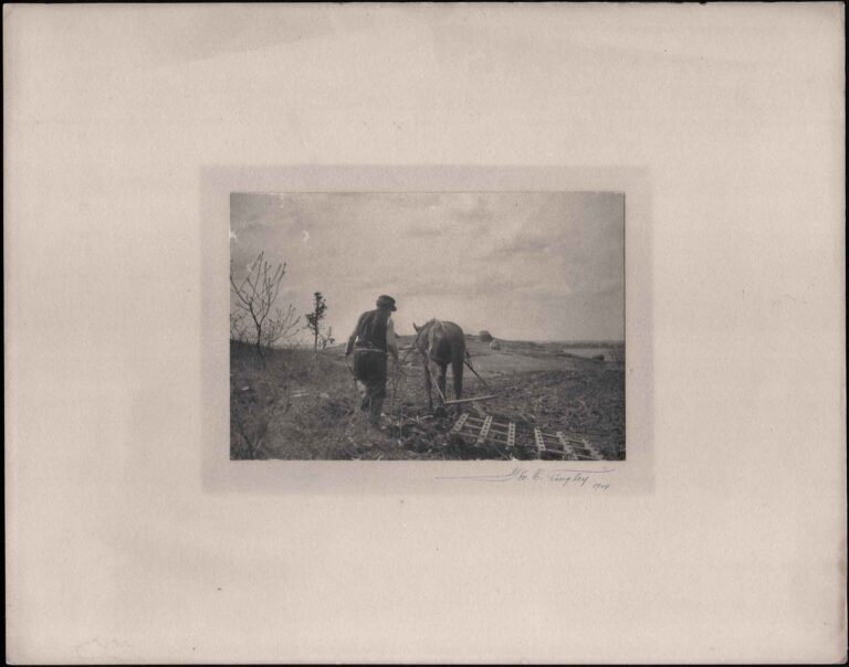 Labor