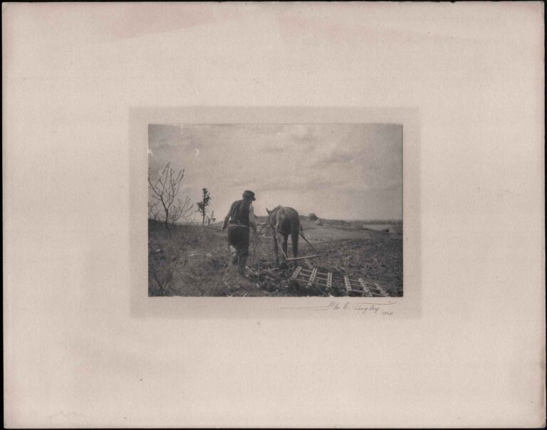 Labor