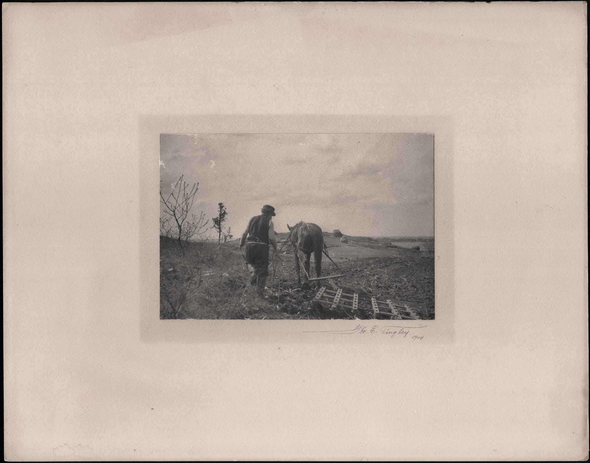 Labor
