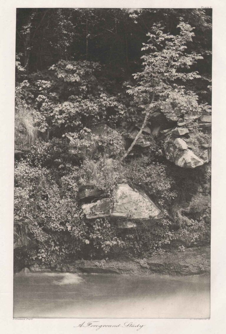 A Foreground Study-Plate II