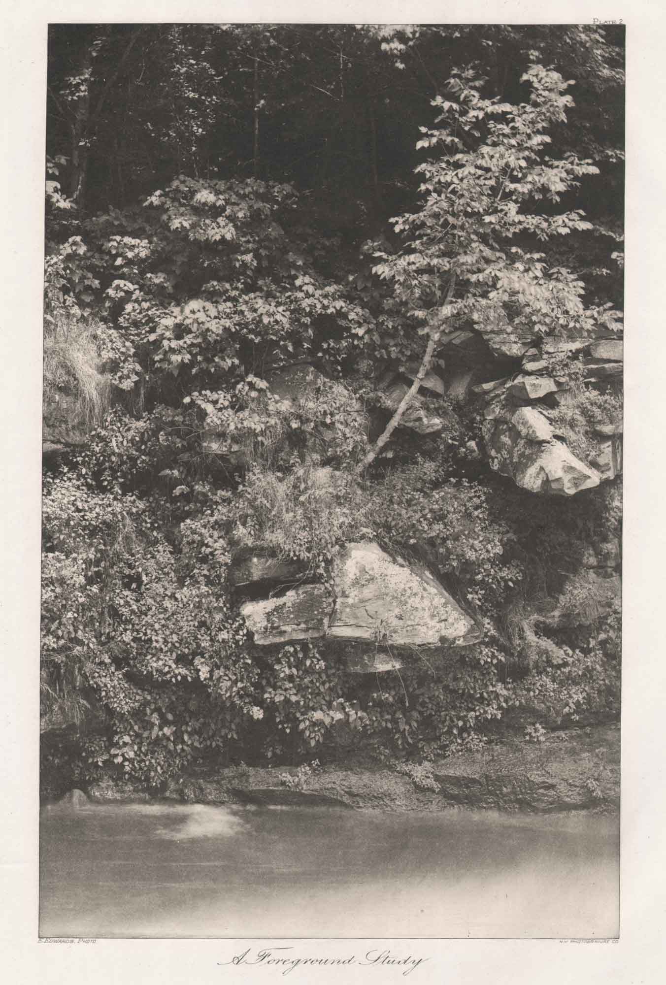 A Foreground Study-Plate II