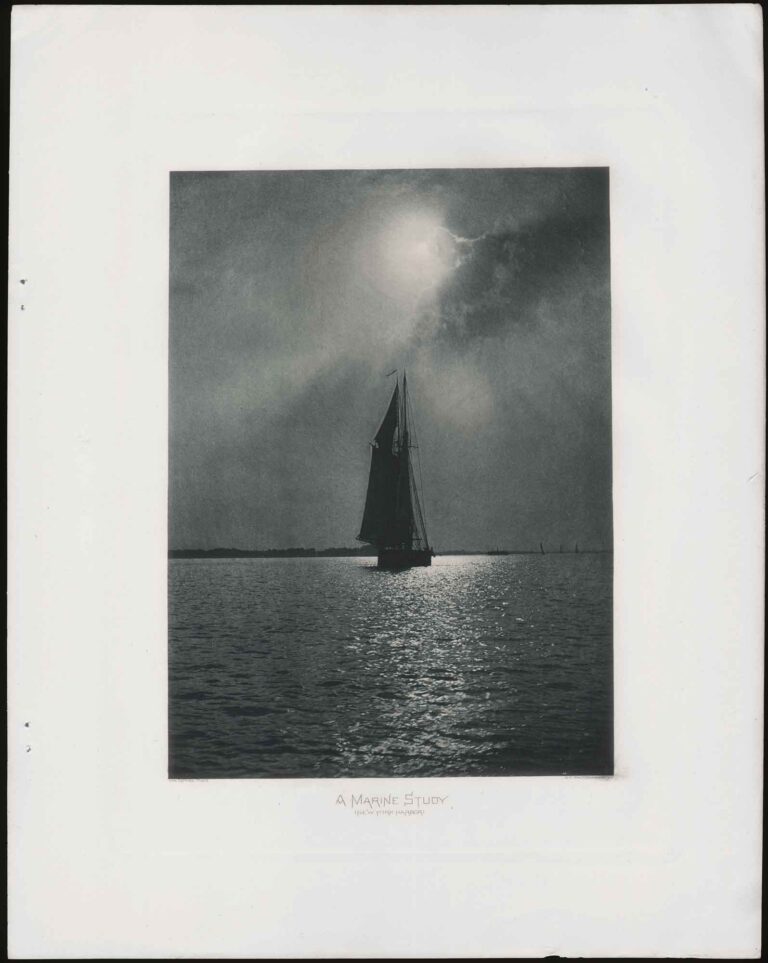 A Marine Study: New York Harbor