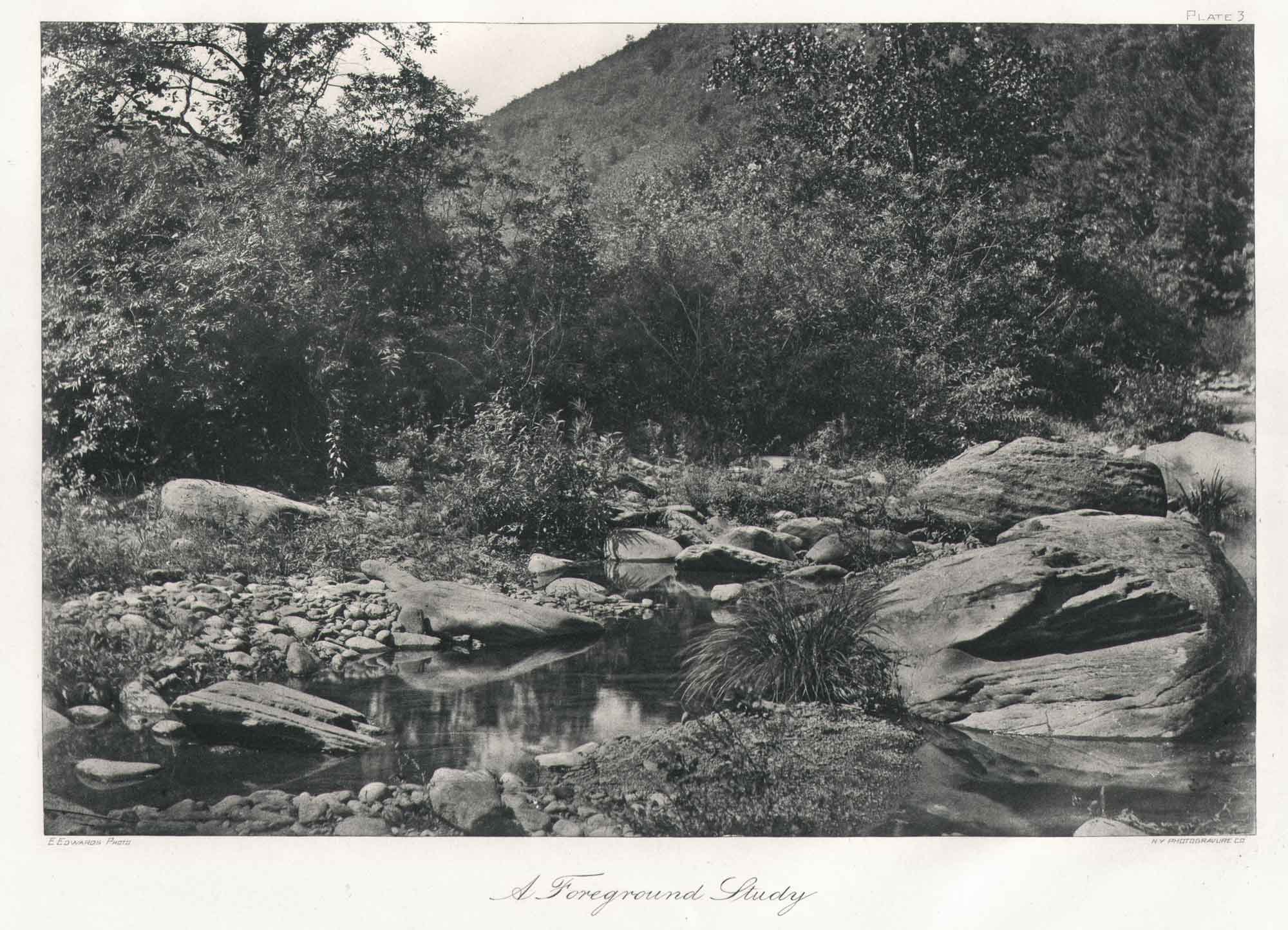 A Foreground Study—Plate III