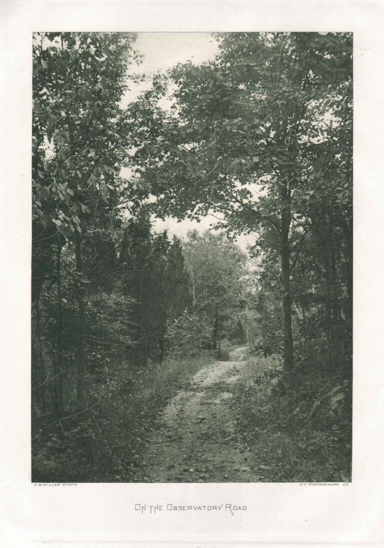 On the Observatory Road—A Hudson River Landscape
